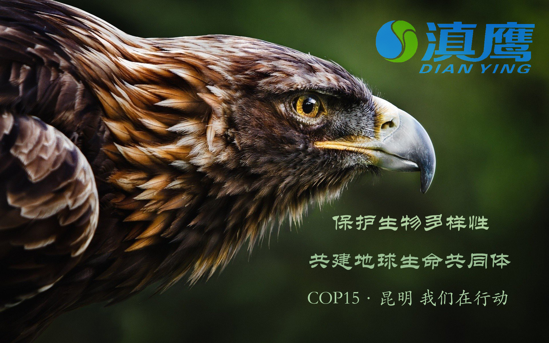 讓綠水青山永續，讓美麗持續綻放